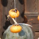 청송심씨 찰방공종택 이미지