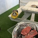 태안 숙소ㅣ‘안면도 일마레 펜션’ 비밀의 방 후기 / 태안 여행 숙소 추천