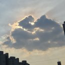 전위예술가 이미지