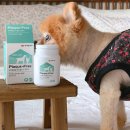 한미사료 이미지