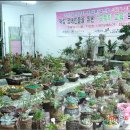 오뚝이교실 이미지