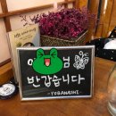 모모일식 이미지