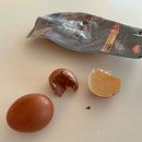 리리플리 | 쌀국수 나르고살지모