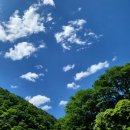 긴집민박 이미지