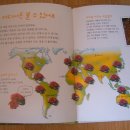 인사이언스 이미지