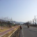 벌교숲공원 이미지