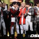 샤이니독 이미지