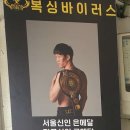 복싱바이러스 이미지