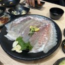 활어보이