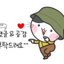 더리터 반송점 이미지