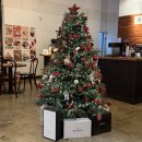 낙원 | 포항 크리스마스 분위기 브런치 카페 '카페낙원' 솔직 후기