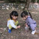 대원유치원 이미지