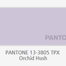 노루유치원 이미지