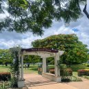 브리즈번 여행 뉴팜파크 New Farm Park 뉴팜 도서관 방문 후기