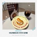 아무것도커피브루 | 보둠커피랩 큐에이틴 콜드브루 선물세트 찬물로 내린 에스프레소 홈카페