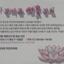 다공마을 2세천 | [거제관광] 거제도 숨은 보석, 다공마을 연꽃 개화 시작