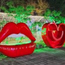 별빛랜드 이미지