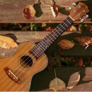 힐링타임 우쿨렐레 이미지