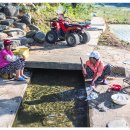 푸른빨래터 이미지