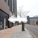 코코리헤어갤러리