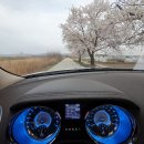 타차량/크라이슬러300c/11년3.6가솔린 87,380km 950팝니다 이미지