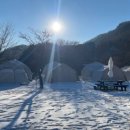 은하수운동장 | 서울근교 양주 개별울타리 오프리쉬 애견동반 은하수캠핑장