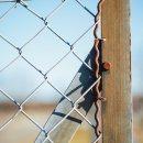 오시아노골프클럽 이미지