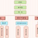 코스코종합가스 | (주)우진가스텍 조직도