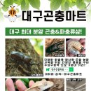 리오바어린이집 이미지