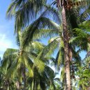 화전민촌 이미지