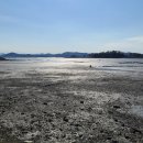 화원태양광발전소 이미지