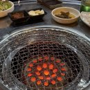 손가네연탄구이 - 예천군 시장로 97-2 | 손가네연탄구이