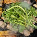 이마트24 동두천중앙점 | 🥓 동두천솥뚜껑삼겹살 | 안산 중앙역 24시 숙성고기 삼겹살 맛집 내돈내산 후기