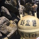 더놀맨 이미지