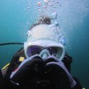 와이키키다이버스 이미지