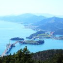 고령초교 이미지