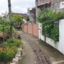 앙성초교 병설유치원 이미지