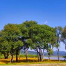 신소양체육공원 이미지