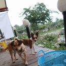 위크온 글램핑 이미지