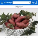 하영유통 이미지