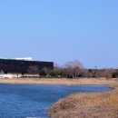 하단동1240 이미지