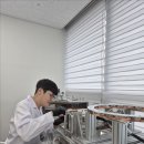 멕스이지