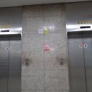 금강기전 이미지