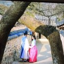 산청하루 이미지