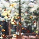 으뜸50안경 성신여대점 이미지