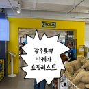 더담아 | 이케아 롯데광주점 방문후기! 애착인형 사러 갔다가 이것저것 더 담아 온 후기. 장바구니 공유