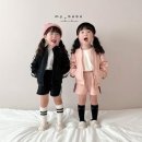 홀리홀리 이미지