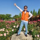 세무법인명성 이미지