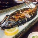 더캠프 PC 이미지