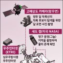 다누리 티스토리